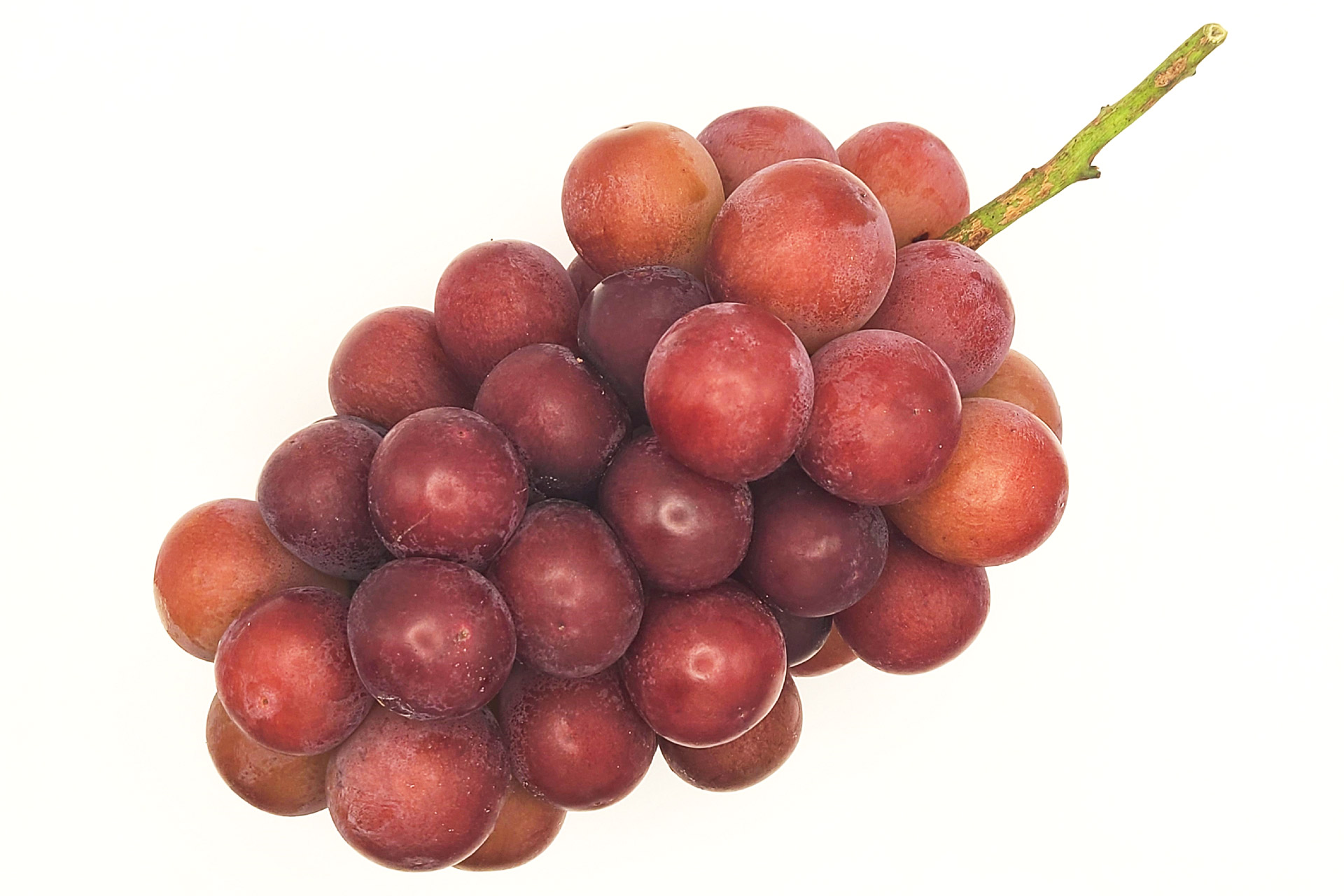 山梨県産クイーンニーナ